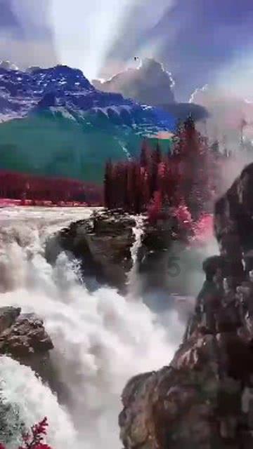 拯救巧虎4