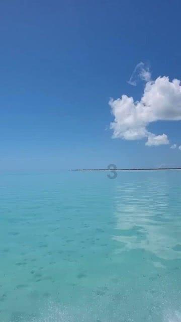 孩子可以在妈妈的户口所在地上学吗 -法律知识？游戏画面